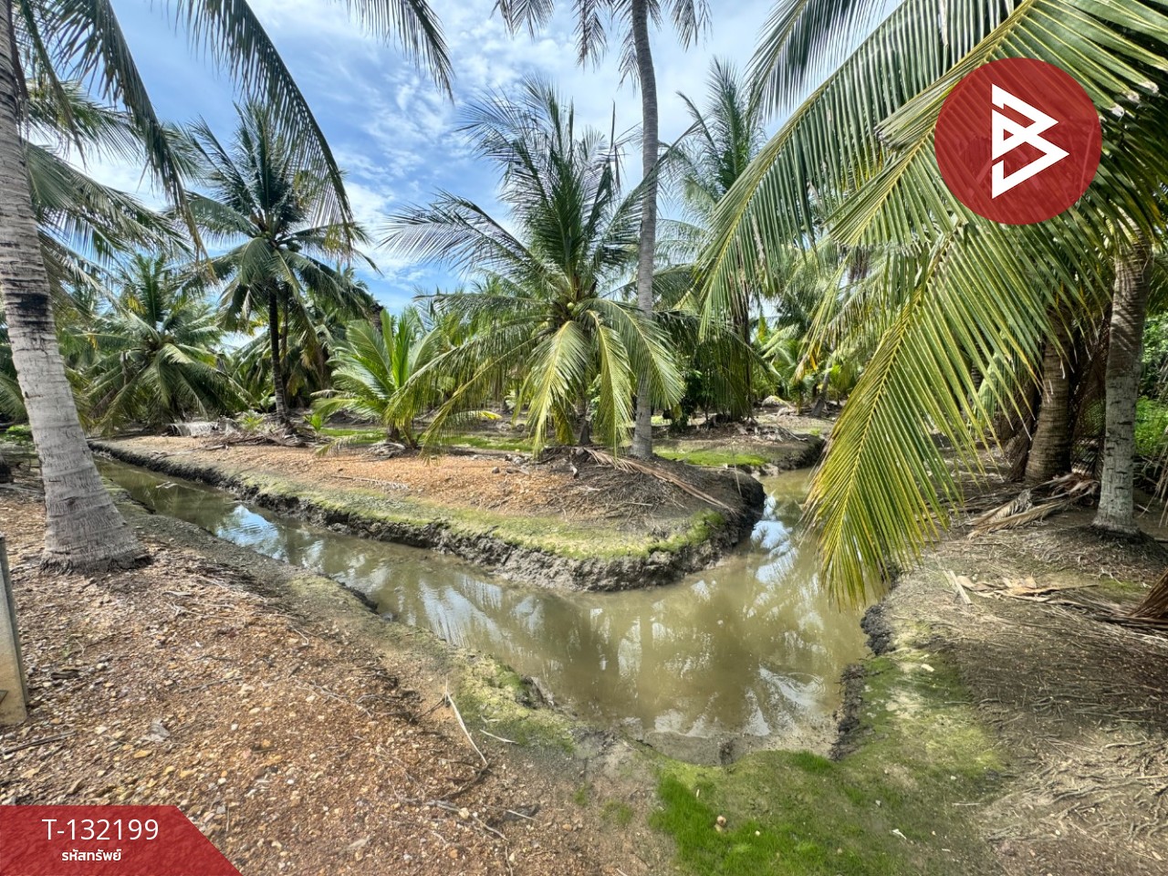 ขายที่ดิน เนื้อที่ 2 ไร่  32 ตร.วา ลาดใหญ่ สมุทรสงคราม 6