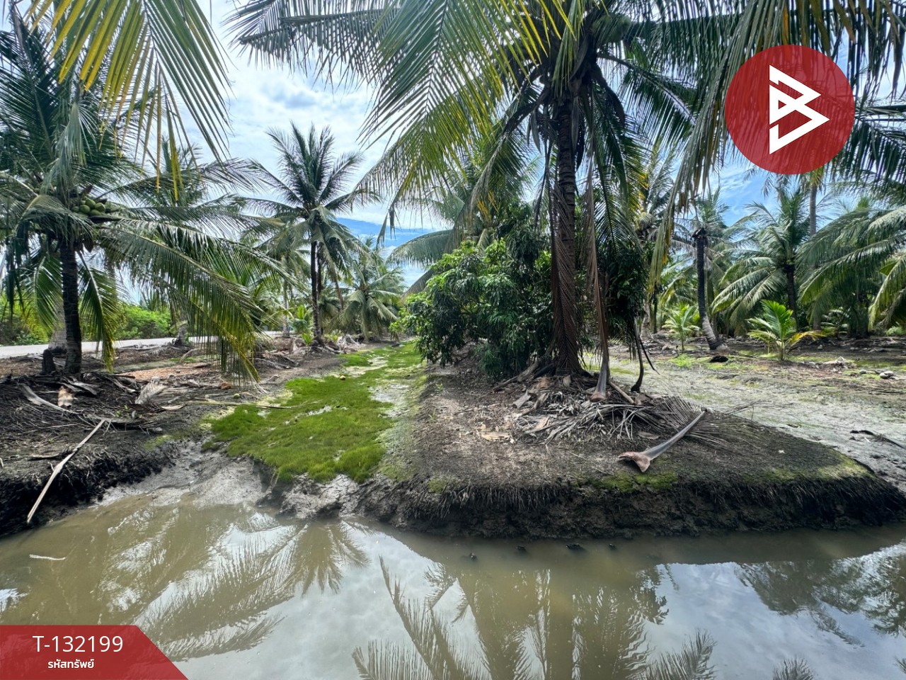 ขายที่ดิน เนื้อที่ 2 ไร่  32 ตร.วา ลาดใหญ่ สมุทรสงคราม 2