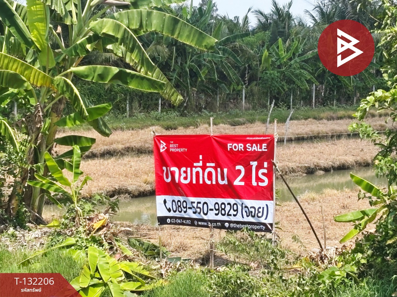 ขายที่ดิน เนื้อที่ 2 ไร่ โพธาราม ราชบุรี 12