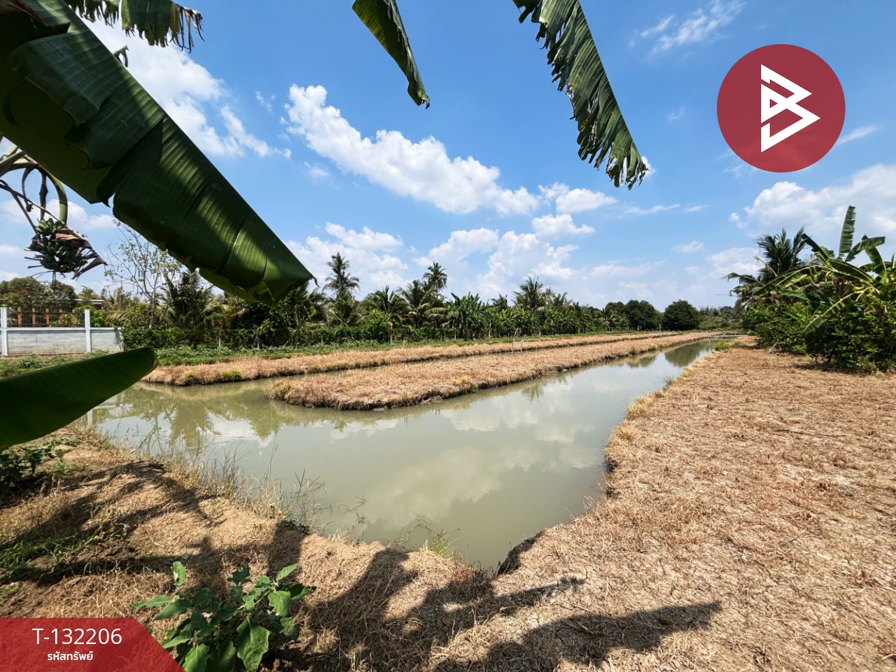 ขายที่ดิน เนื้อที่ 2 ไร่ โพธาราม ราชบุรี 15