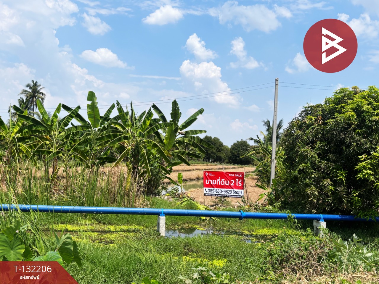 ขายที่ดิน เนื้อที่ 2 ไร่ โพธาราม ราชบุรี 13