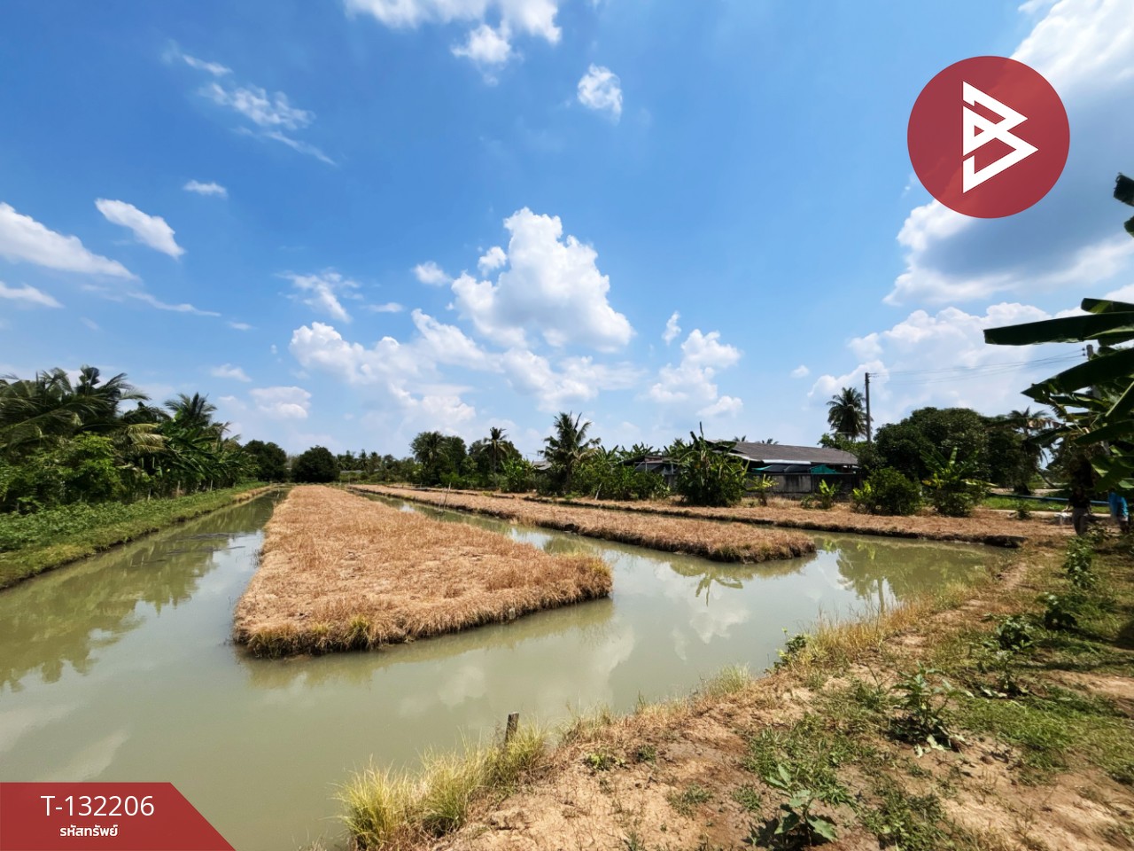 ขายที่ดิน เนื้อที่ 2 ไร่ โพธาราม ราชบุรี 14