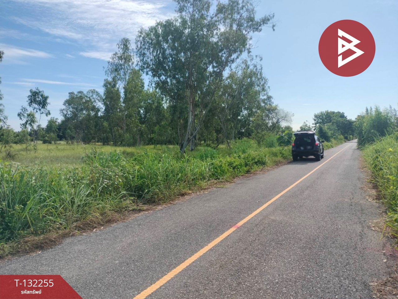 ขายที่ดิน เนื้อที่ 4 ไร่ 3 งาน 42 ตร.วา องครักษ์ นครนายก 3