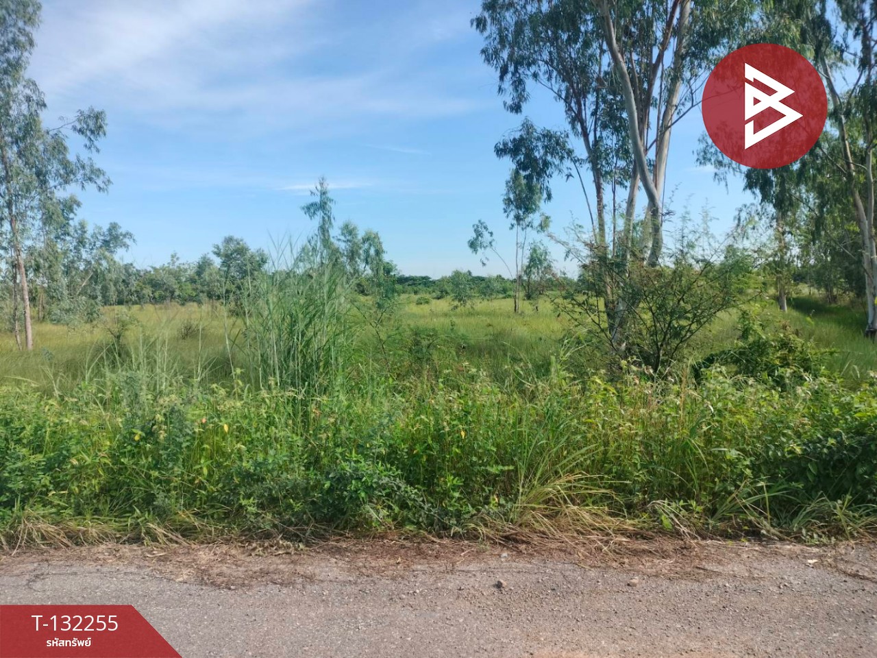 ขายที่ดิน เนื้อที่ 4 ไร่ 3 งาน 42 ตร.วา องครักษ์ นครนายก 2