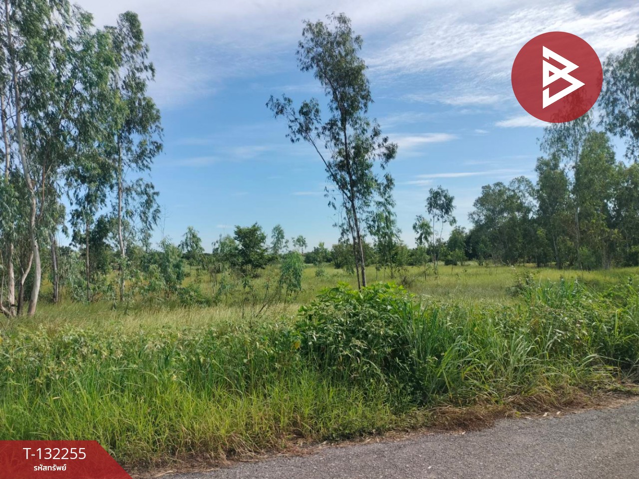 ขายที่ดิน เนื้อที่ 4 ไร่ 3 งาน 42 ตร.วา องครักษ์ นครนายก 1