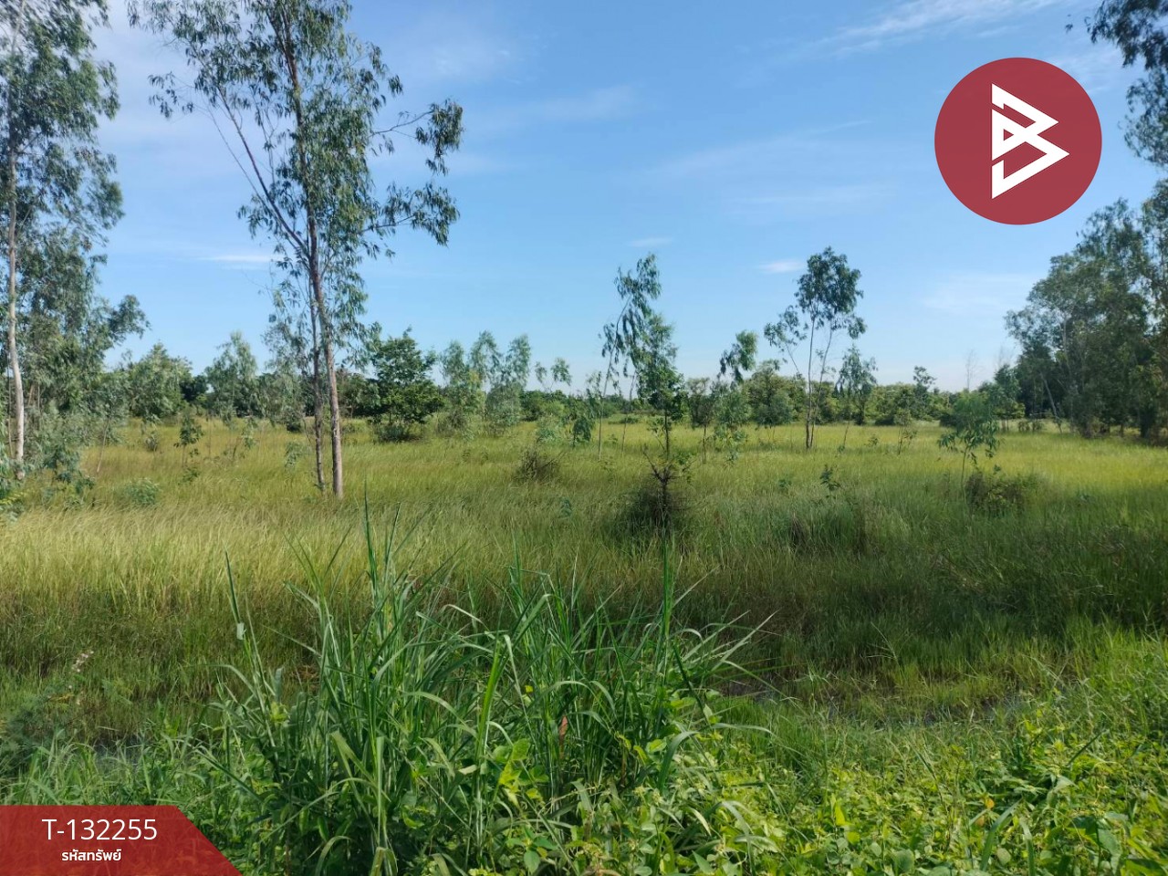 ขายที่ดิน เนื้อที่ 4 ไร่ 3 งาน 42 ตร.วา องครักษ์ นครนายก 4