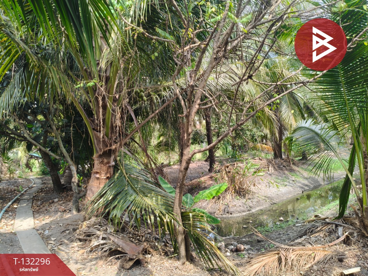 ขายที่ดิน เนื้อที่ 3 งาน 65 ตร.วา บ้านแพ้ว สมุทรสาคร 6