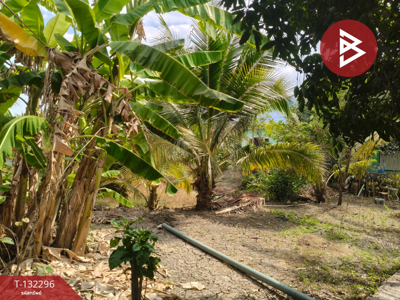 ขายที่ดิน เนื้อที่ 3 งาน 65 ตร.วา บ้านแพ้ว สมุทรสาคร 4