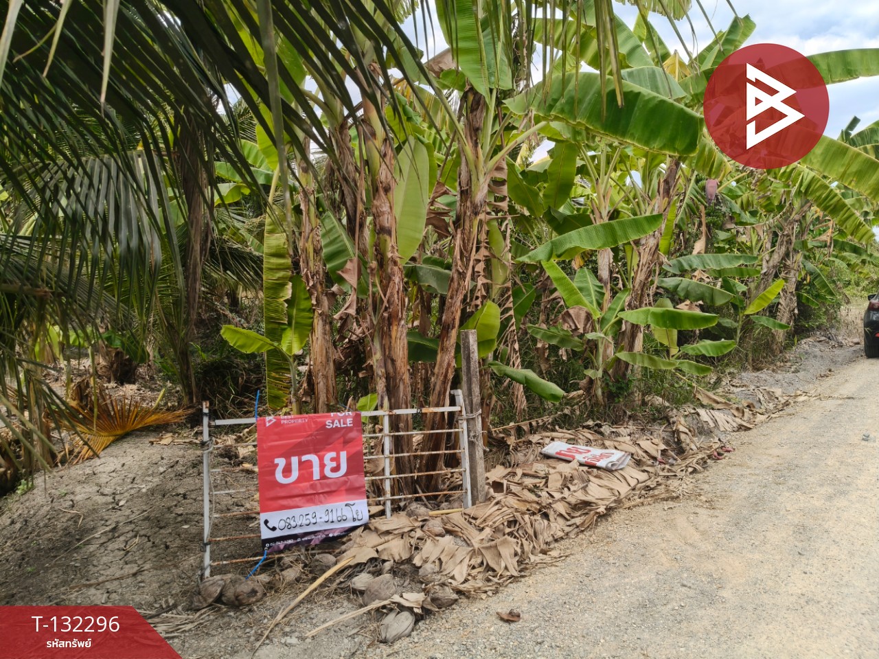 ขายที่ดิน เนื้อที่ 3 งาน 65 ตร.วา บ้านแพ้ว สมุทรสาคร 1