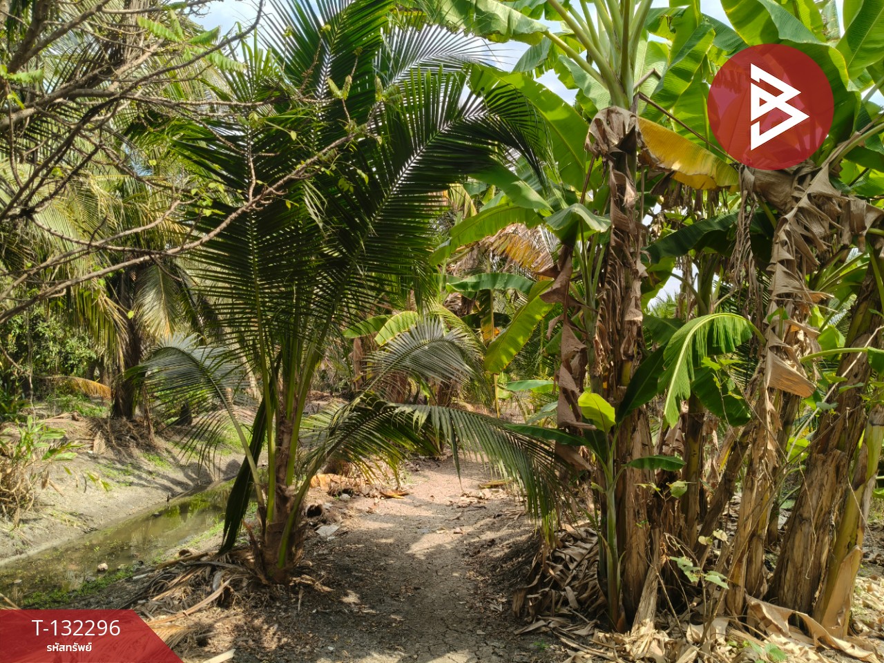 ขายที่ดิน เนื้อที่ 3 งาน 65 ตร.วา บ้านแพ้ว สมุทรสาคร 3