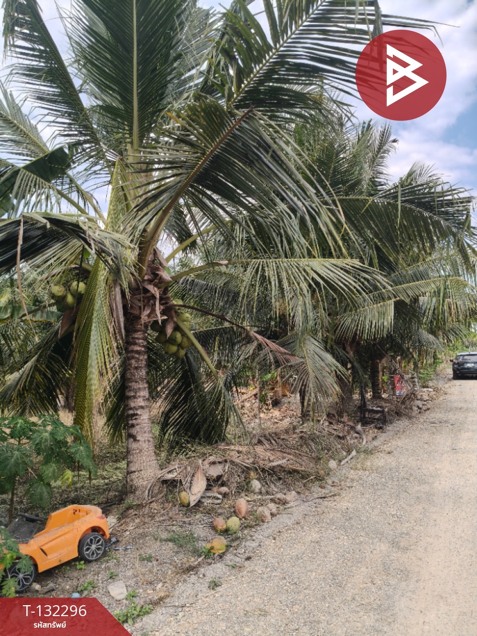 ขายที่ดิน เนื้อที่ 3 งาน 65 ตร.วา บ้านแพ้ว สมุทรสาคร 5