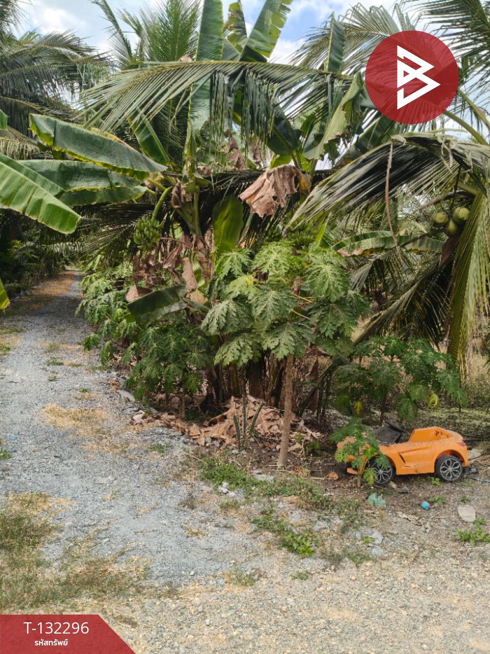 ขายที่ดิน เนื้อที่ 3 งาน 65 ตร.วา บ้านแพ้ว สมุทรสาคร 2