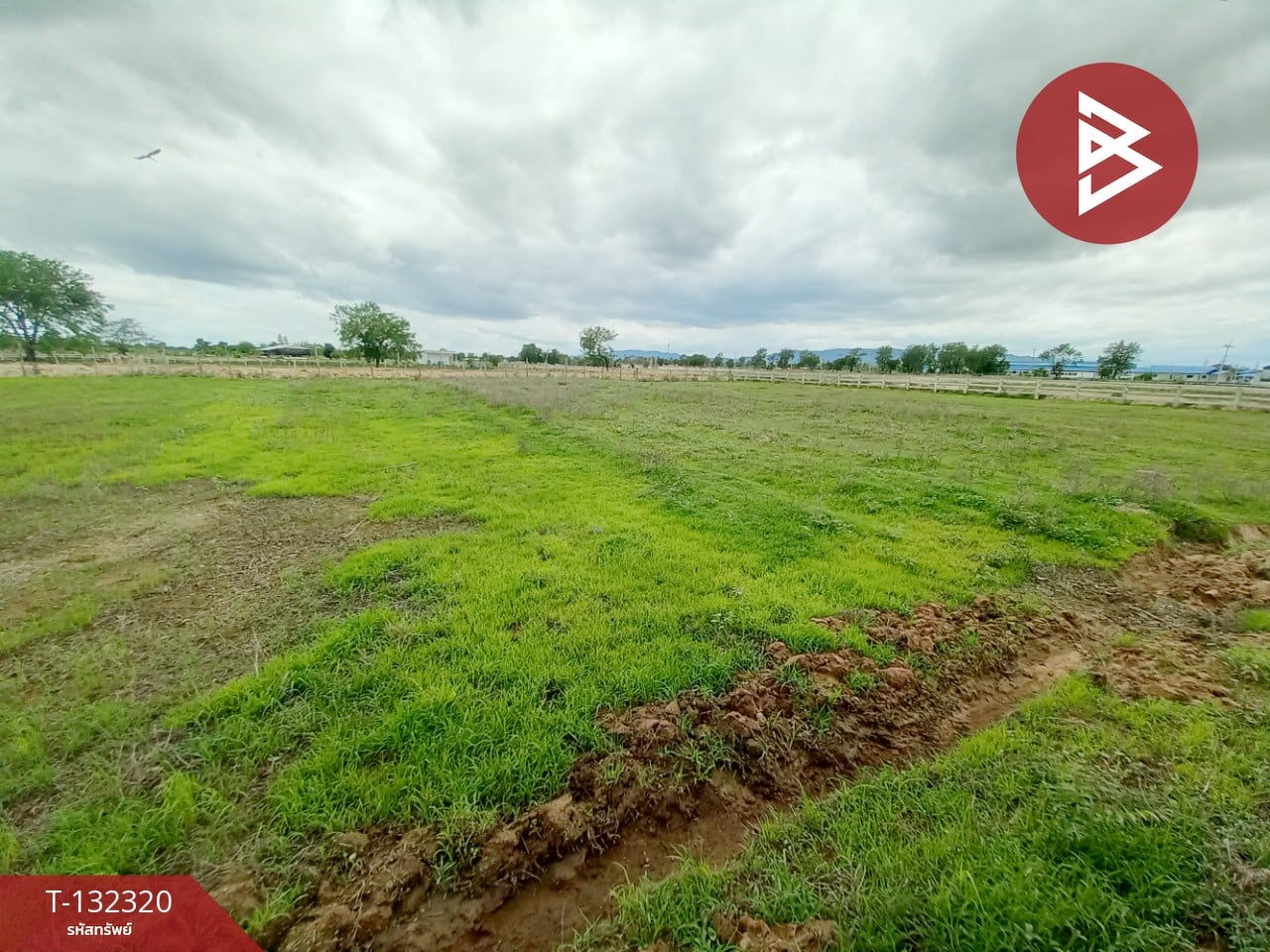 ขายที่ดิน เนื้อที่ 2 ไร่ 1 งาน เลาขวัญ กาญจนบุรี 14