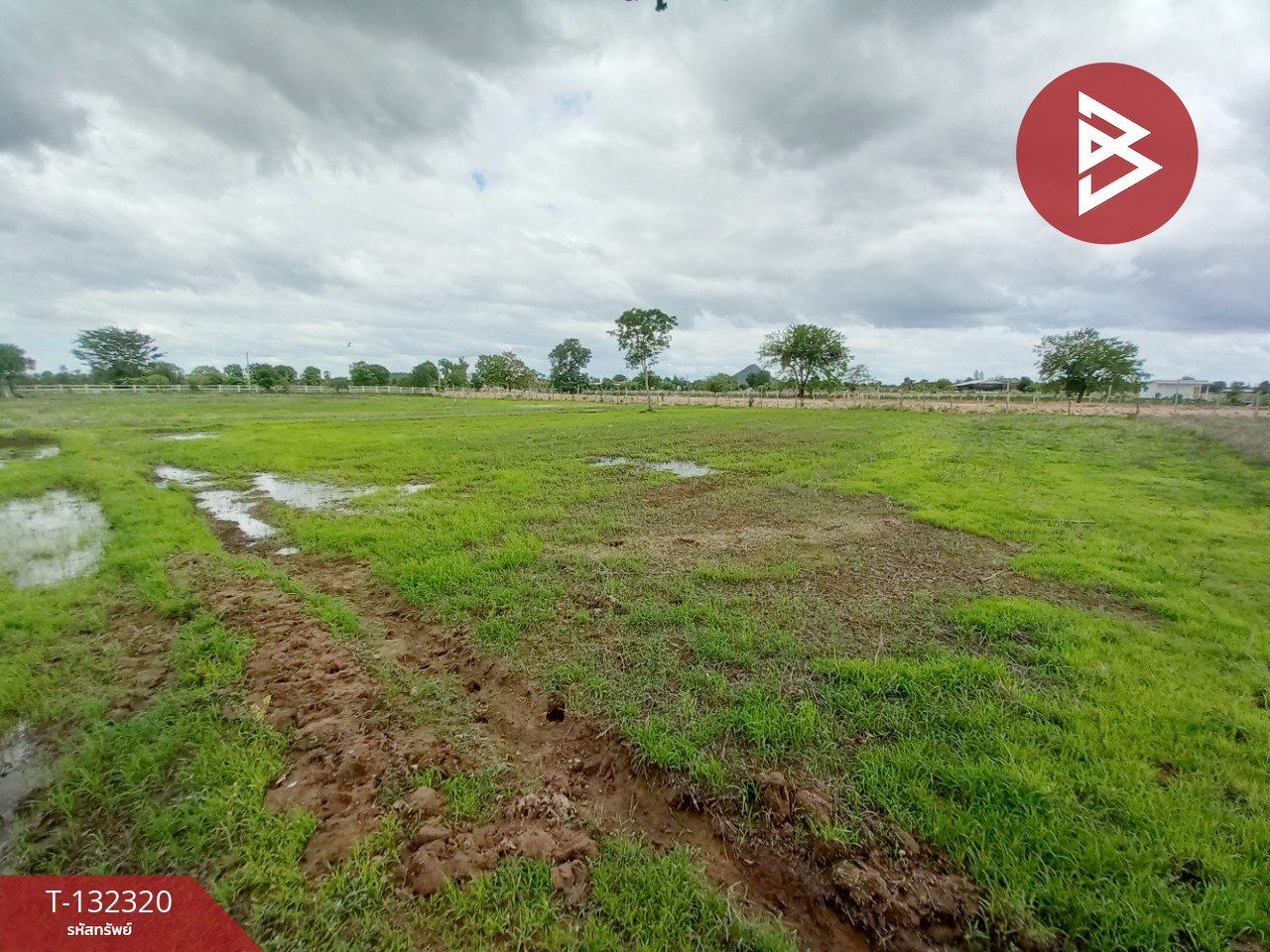 ขายที่ดิน เนื้อที่ 2 ไร่ 1 งาน เลาขวัญ กาญจนบุรี 13