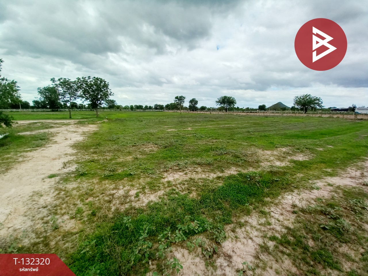 ขายที่ดิน เนื้อที่ 2 ไร่ 1 งาน เลาขวัญ กาญจนบุรี 8