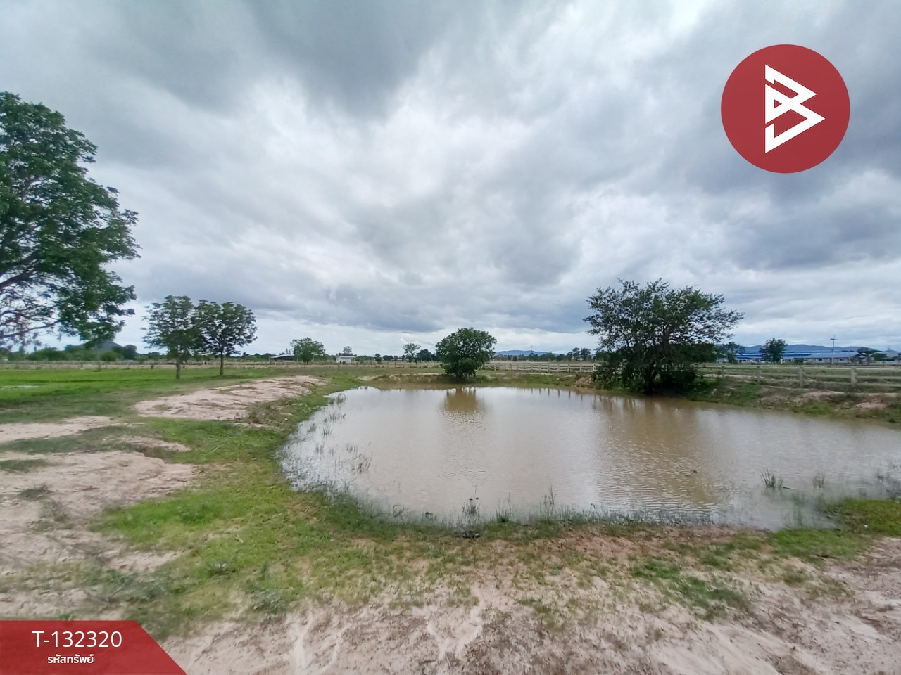 ขายที่ดิน เนื้อที่ 2 ไร่ 1 งาน เลาขวัญ กาญจนบุรี 12