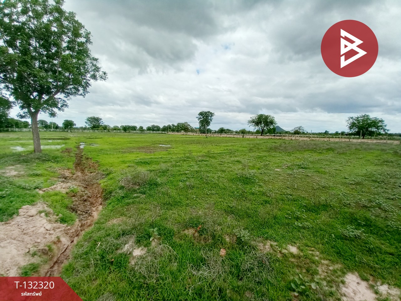 ขายที่ดิน เนื้อที่ 2 ไร่ 1 งาน เลาขวัญ กาญจนบุรี 15