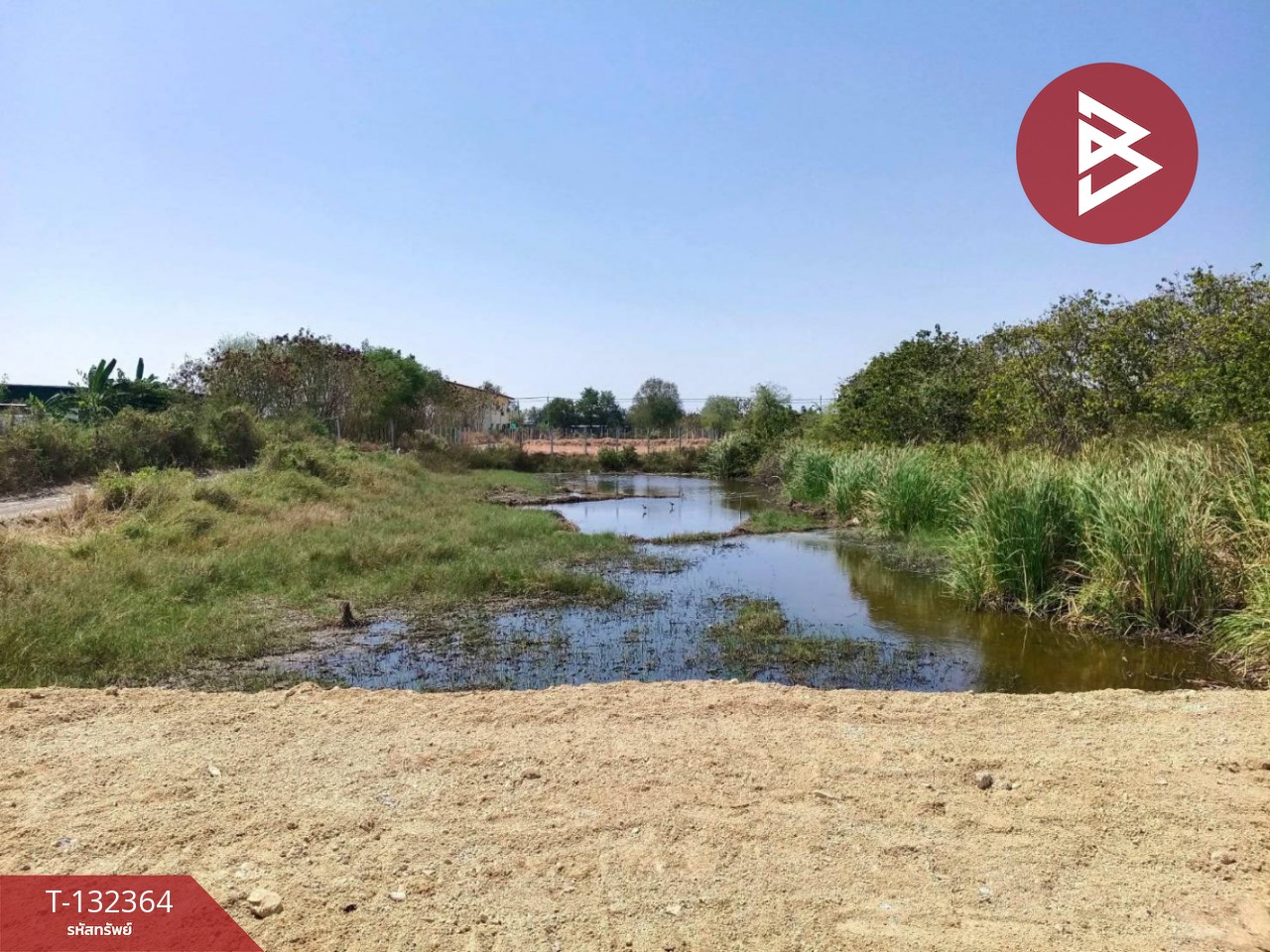 ขายที่ดิน เนื้อที่ 3 งาน 56.5 ตร.วา บางปะกง ฉะเชิงเทรา 3