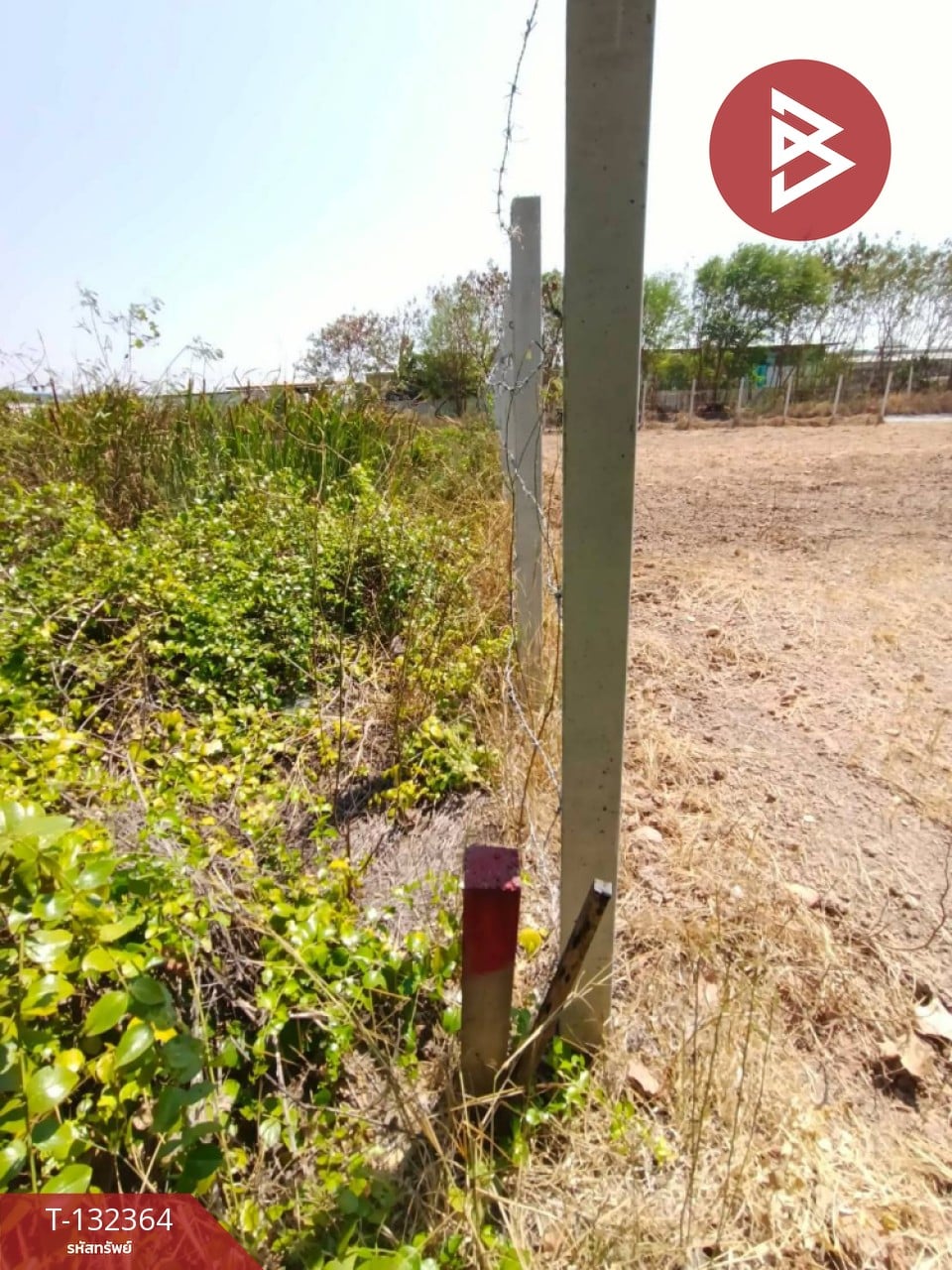 ขายที่ดิน เนื้อที่ 3 งาน 56.5 ตร.วา บางปะกง ฉะเชิงเทรา 6