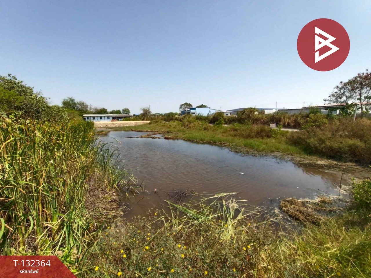 ขายที่ดิน เนื้อที่ 3 งาน 56.5 ตร.วา บางปะกง ฉะเชิงเทรา 7