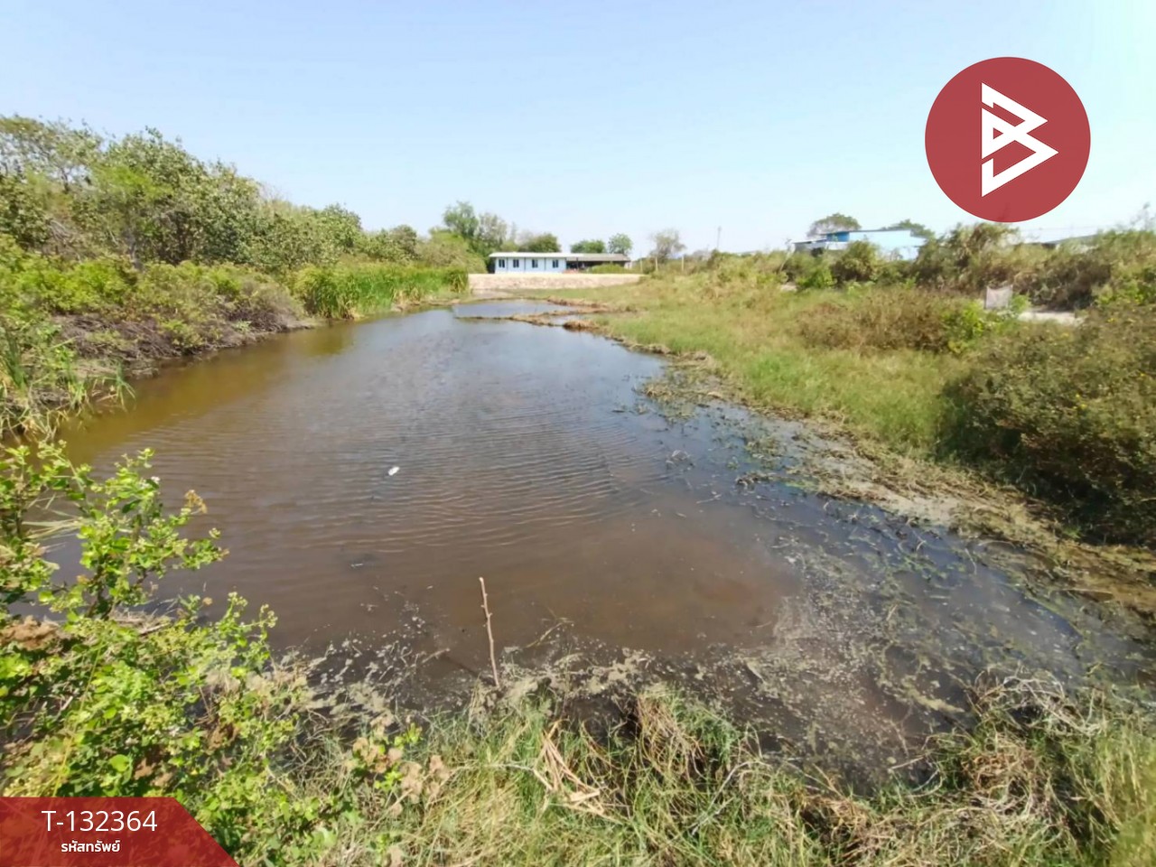 ขายที่ดิน เนื้อที่ 3 งาน 56.5 ตร.วา บางปะกง ฉะเชิงเทรา 5