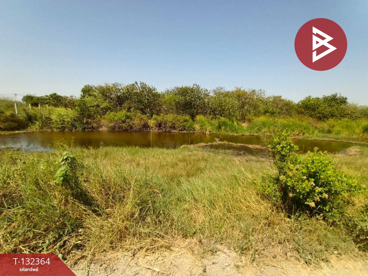 ขายที่ดิน เนื้อที่ 3 งาน 56.5 ตร.วา บางปะกง ฉะเชิงเทรา 2