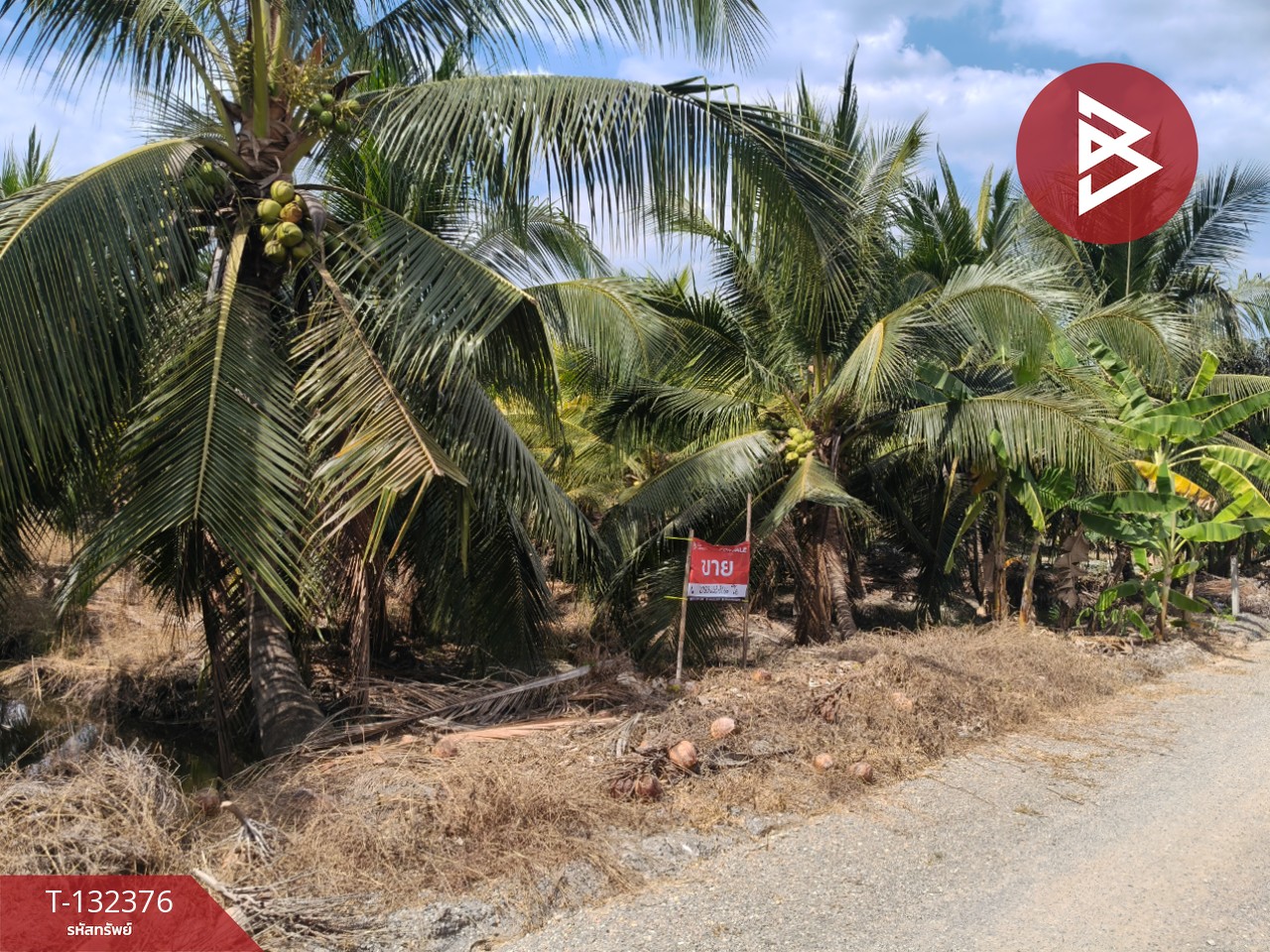 ขายที่ดิน เนื้อที่ 2 งาน บ้านแพ้ว สมุทรสาคร 1