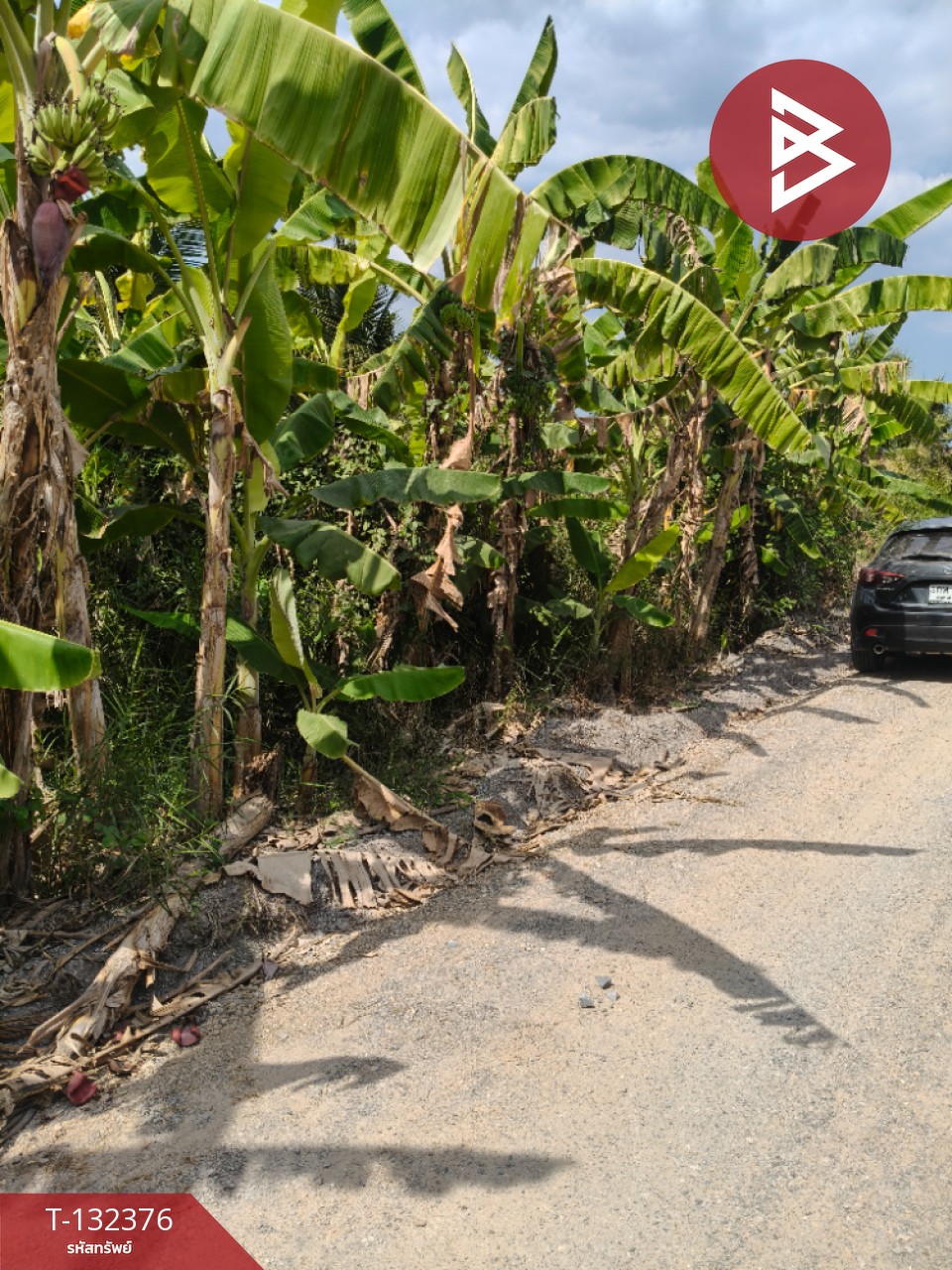 ขายที่ดิน เนื้อที่ 2 งาน บ้านแพ้ว สมุทรสาคร 5