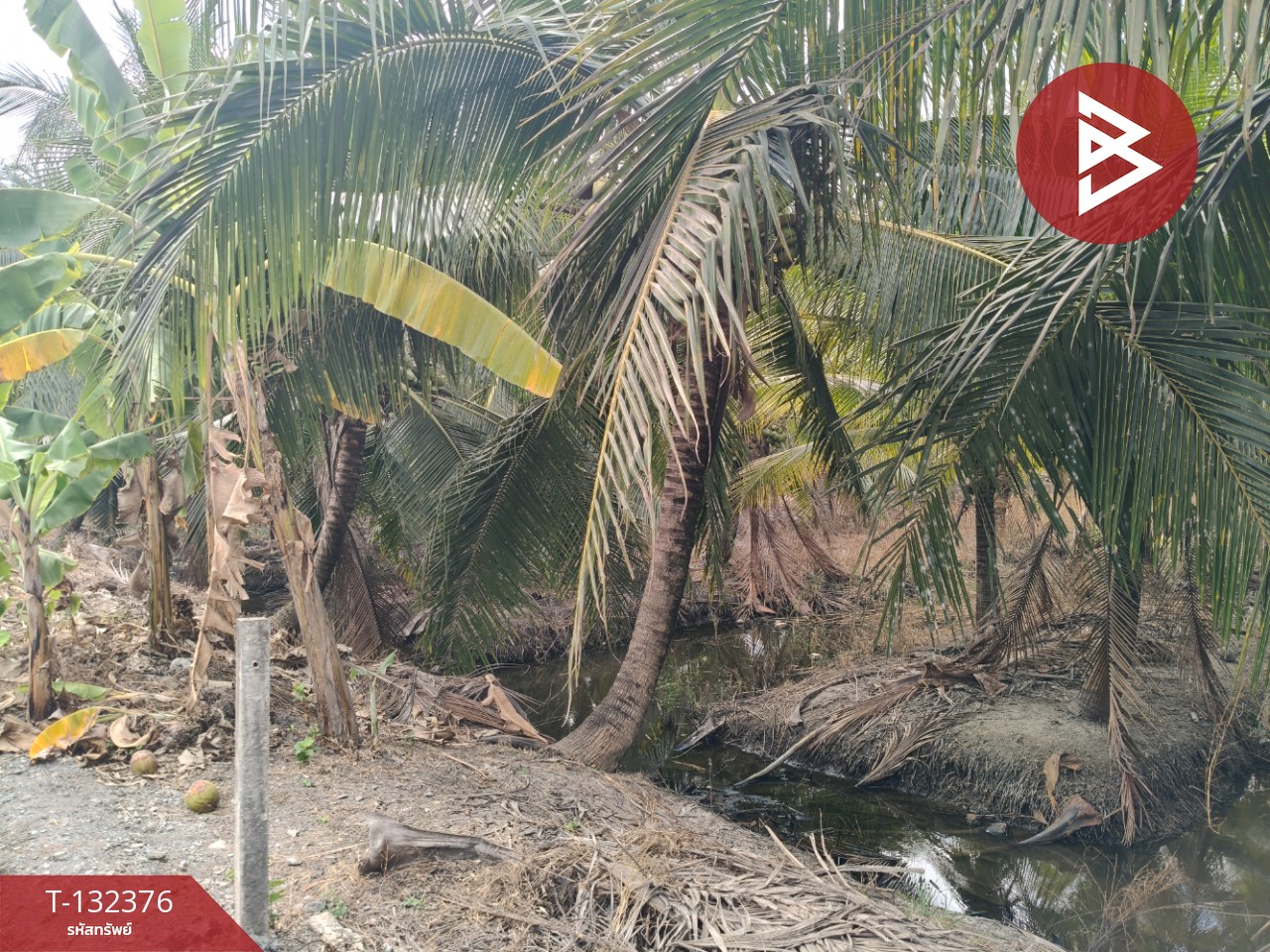 ขายที่ดิน เนื้อที่ 2 งาน บ้านแพ้ว สมุทรสาคร 2