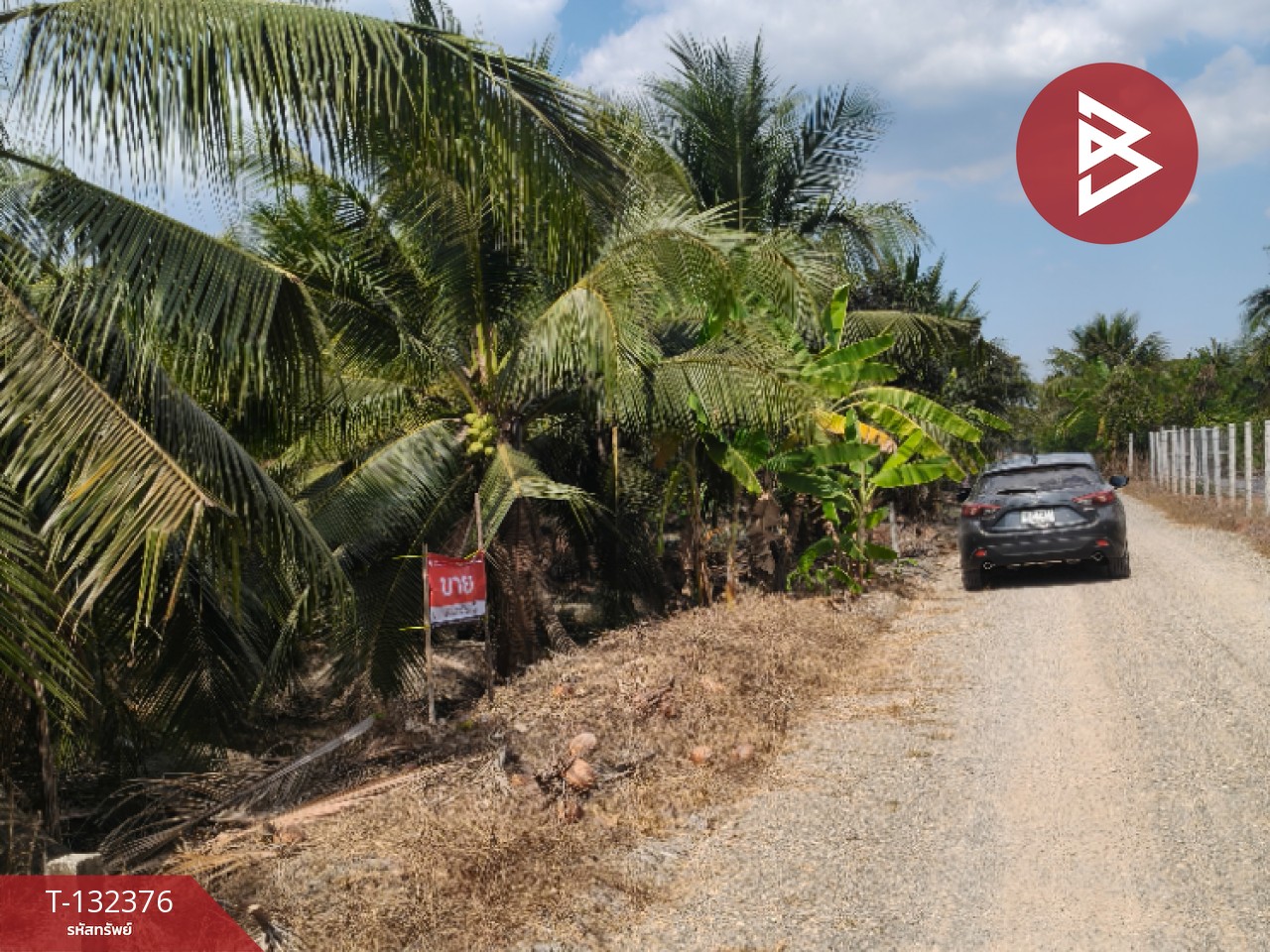 ขายที่ดิน เนื้อที่ 2 งาน บ้านแพ้ว สมุทรสาคร 3