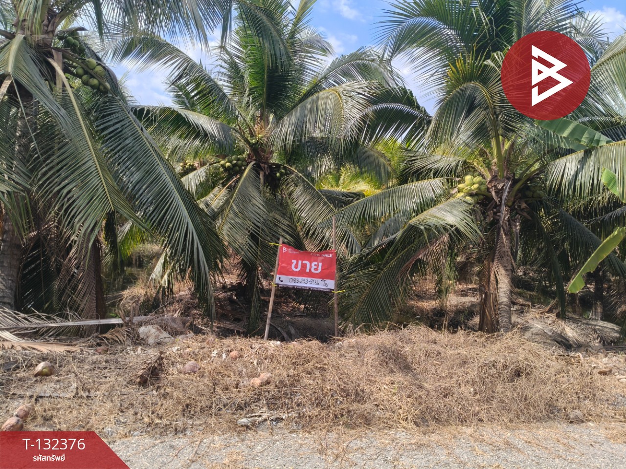 ขายที่ดิน เนื้อที่ 2 งาน บ้านแพ้ว สมุทรสาคร 7