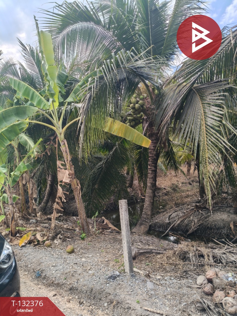 ขายที่ดิน เนื้อที่ 2 งาน บ้านแพ้ว สมุทรสาคร 6