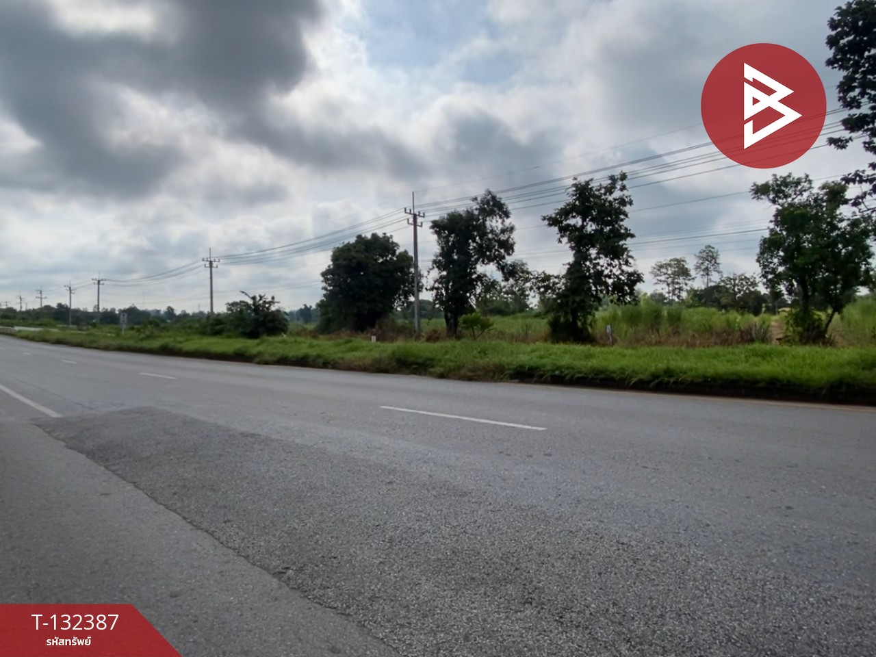 ขายที่ดิน เนื้อที่ 28 ไร่ 95 ตร.วา นาจารย์ กาฬสินธุ์ 5