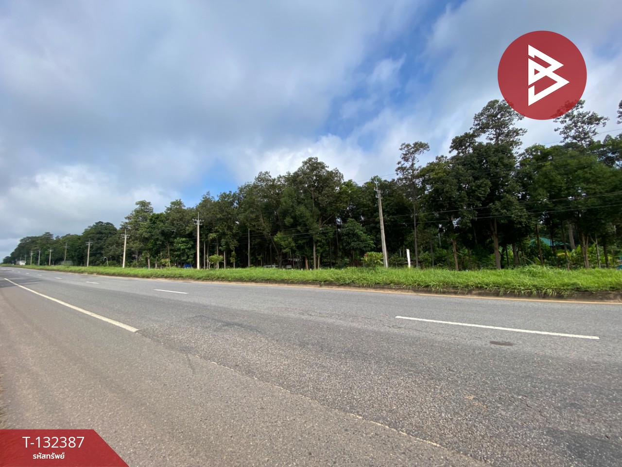 ขายที่ดิน เนื้อที่ 28 ไร่ 95 ตร.วา นาจารย์ กาฬสินธุ์ 8