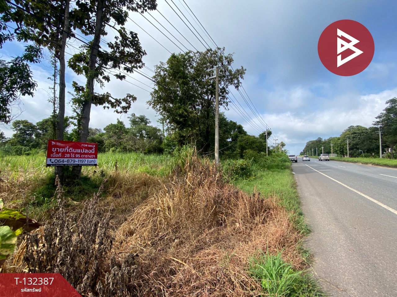 ขายที่ดิน เนื้อที่ 28 ไร่ 95 ตร.วา นาจารย์ กาฬสินธุ์ 2