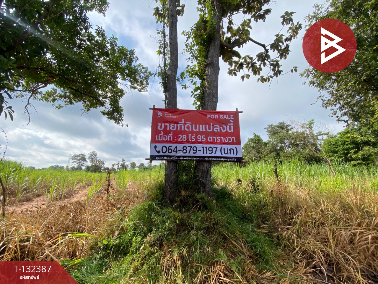 ขายที่ดิน เนื้อที่ 28 ไร่ 95 ตร.วา นาจารย์ กาฬสินธุ์ 1