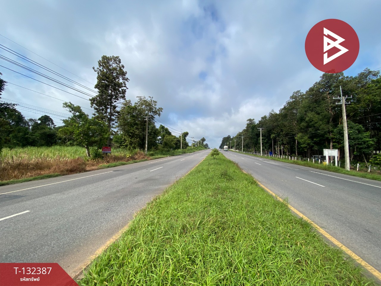 ขายที่ดิน เนื้อที่ 28 ไร่ 95 ตร.วา นาจารย์ กาฬสินธุ์ 9