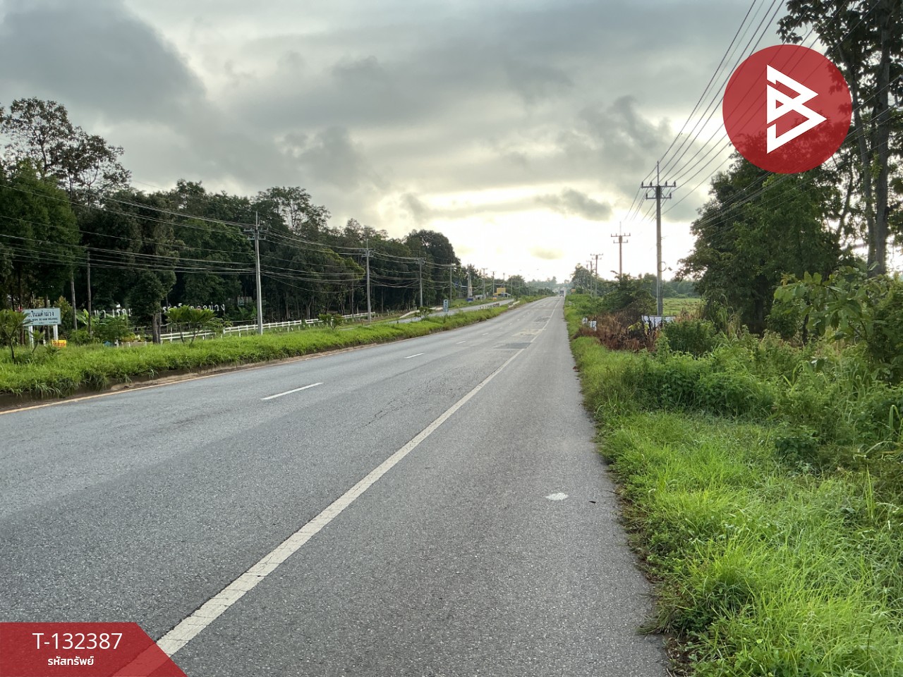 ขายที่ดิน เนื้อที่ 28 ไร่ 95 ตร.วา นาจารย์ กาฬสินธุ์ 13