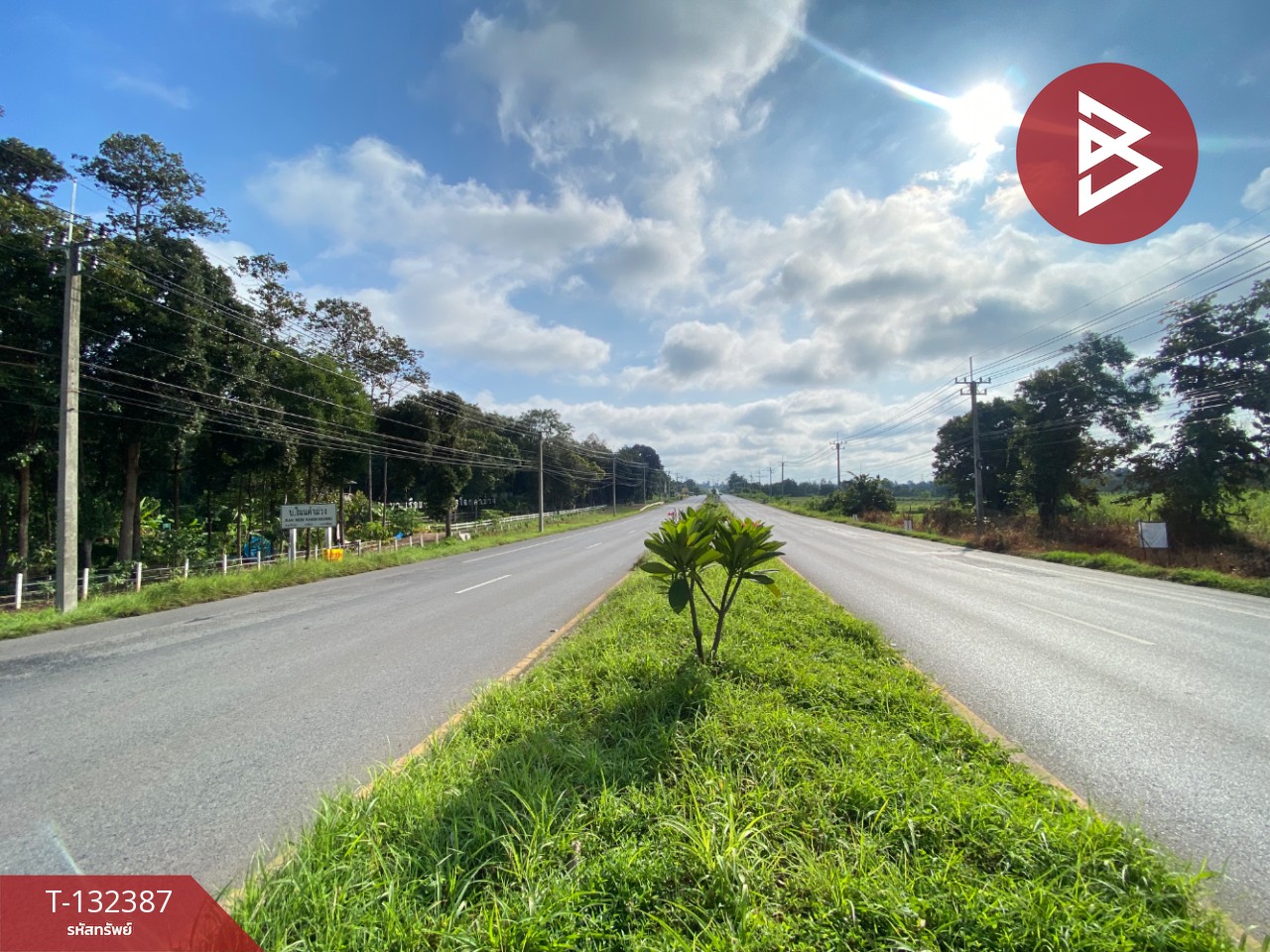 ขายที่ดิน เนื้อที่ 28 ไร่ 95 ตร.วา นาจารย์ กาฬสินธุ์ 11