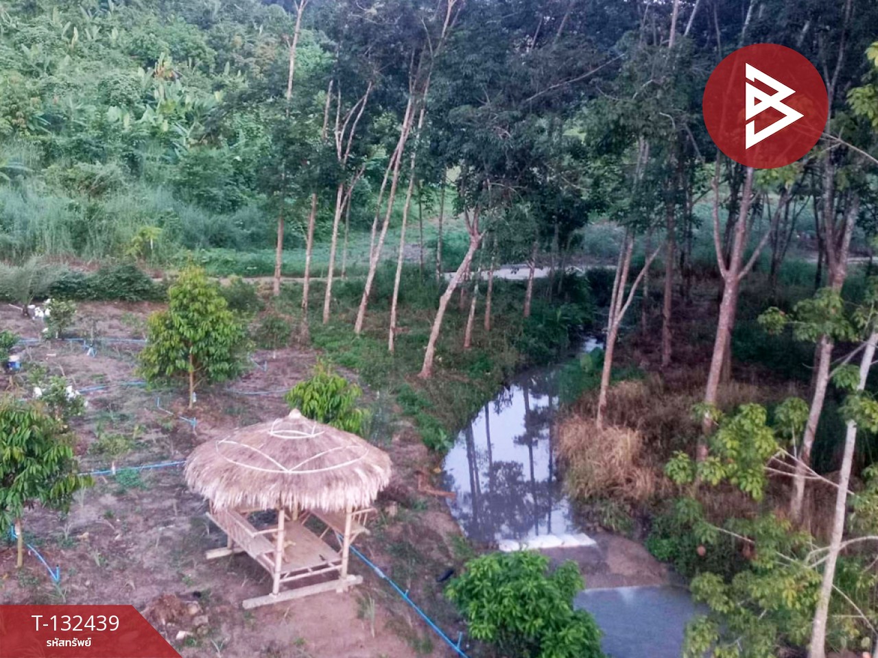 ขายที่ดินพร้อมสิ่งปลูกสร้าง เนื้อที่ 6 ไร่ 2 งาน 97 ตร.วา วังจันทร์ ระยอง 2