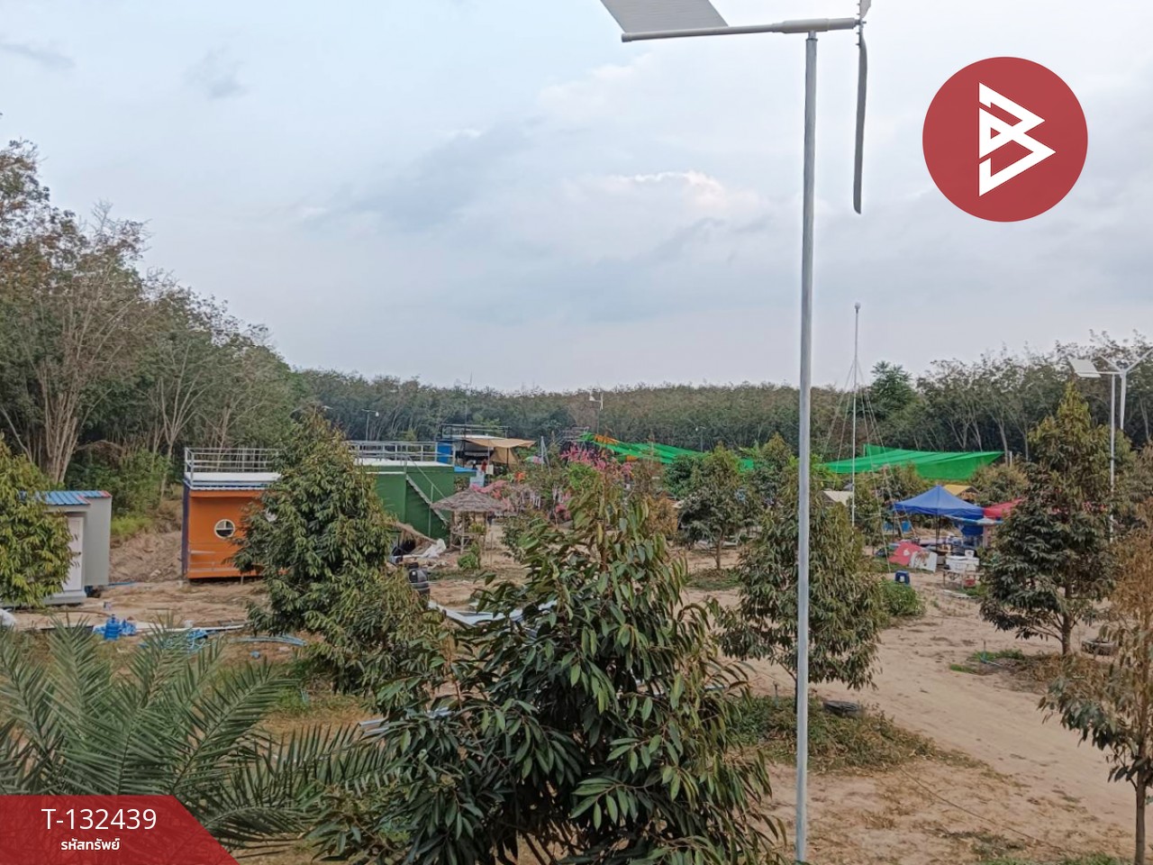 ขายที่ดินพร้อมสิ่งปลูกสร้าง เนื้อที่ 6 ไร่ 2 งาน 97 ตร.วา วังจันทร์ ระยอง 5