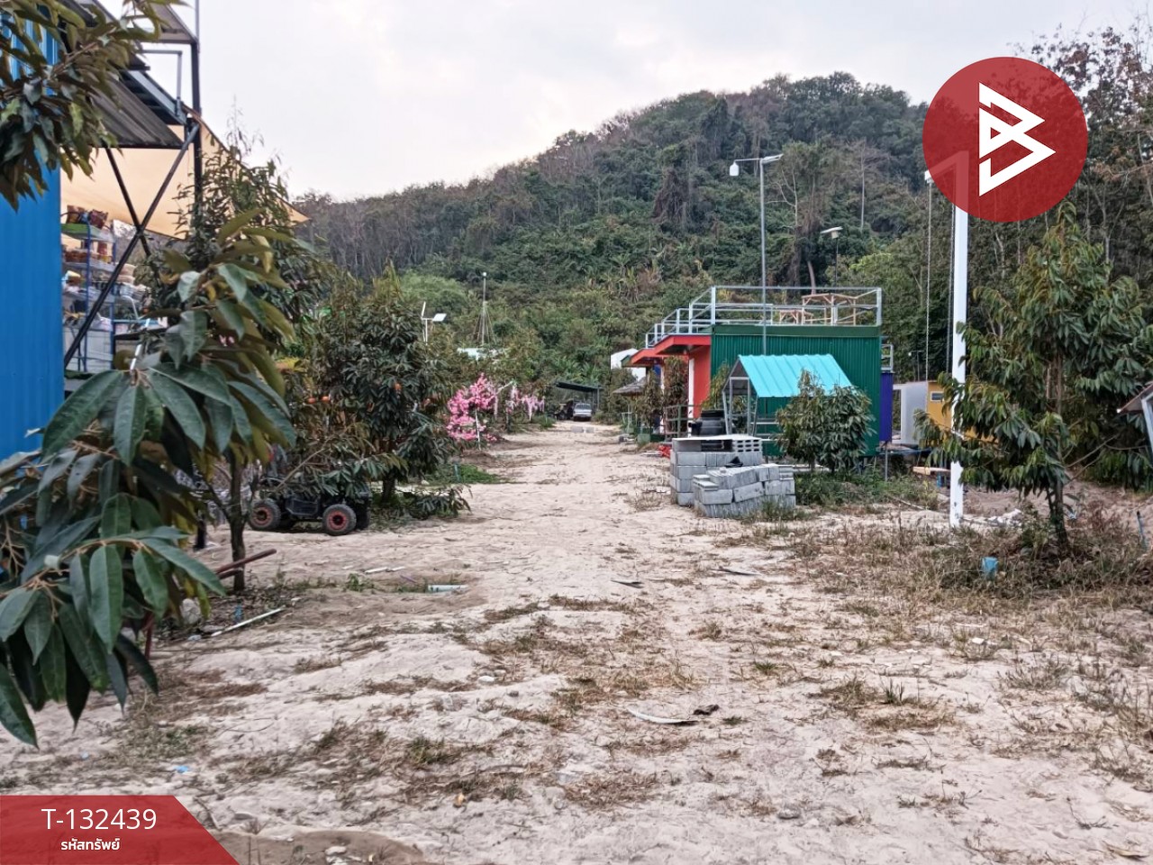 ขายที่ดินพร้อมสิ่งปลูกสร้าง เนื้อที่ 6 ไร่ 2 งาน 97 ตร.วา วังจันทร์ ระยอง 7