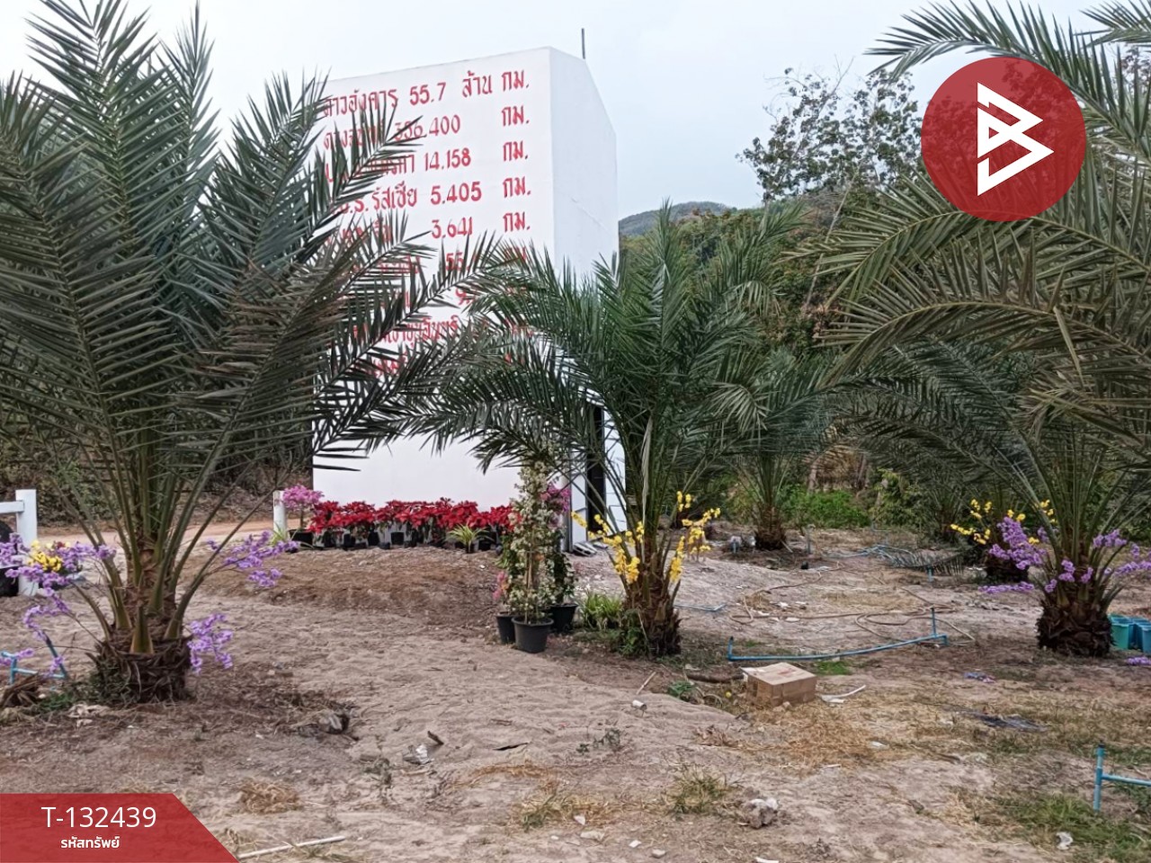 ขายที่ดินพร้อมสิ่งปลูกสร้าง เนื้อที่ 6 ไร่ 2 งาน 97 ตร.วา วังจันทร์ ระยอง 9