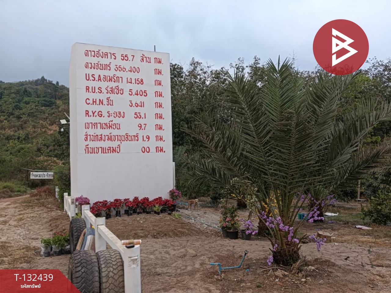 ขายที่ดินพร้อมสิ่งปลูกสร้าง เนื้อที่ 6 ไร่ 2 งาน 97 ตร.วา วังจันทร์ ระยอง 4