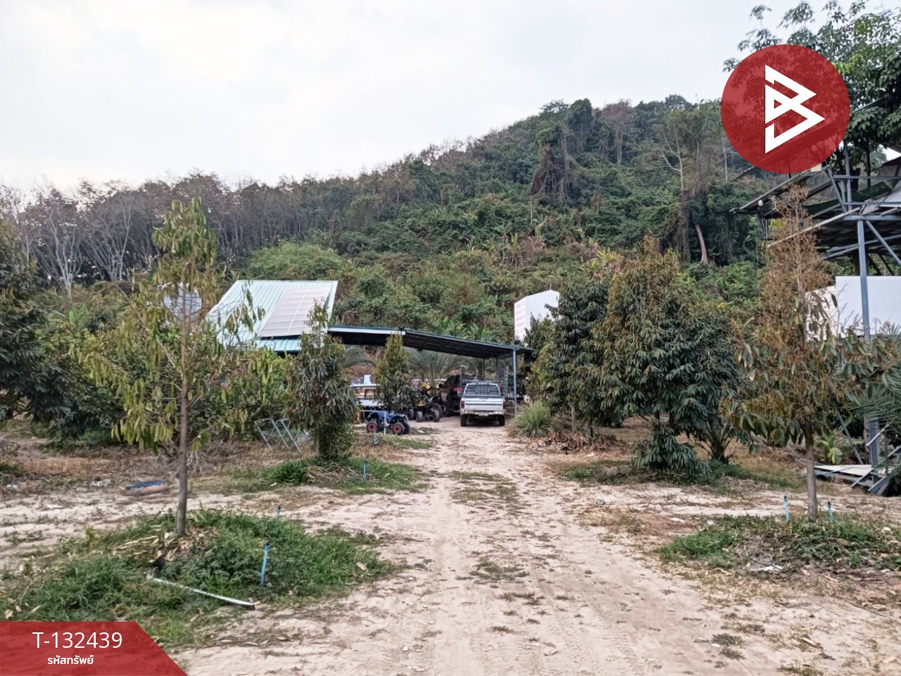 ขายที่ดินพร้อมสิ่งปลูกสร้าง เนื้อที่ 6 ไร่ 2 งาน 97 ตร.วา วังจันทร์ ระยอง 8