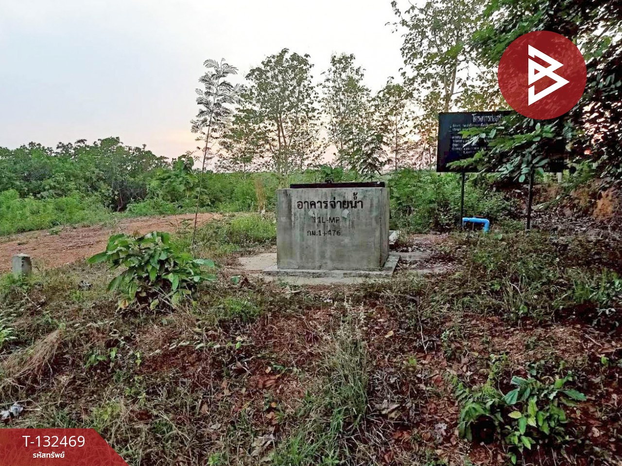 ขายที่ดิน เนื้อที่ 4 ไร่ ท่าปลา อุตรดิตถ์ 11