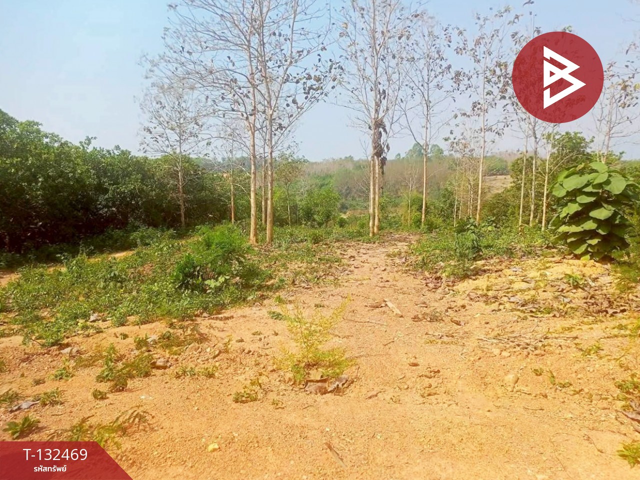 ขายที่ดิน เนื้อที่ 4 ไร่ ท่าปลา อุตรดิตถ์ 3