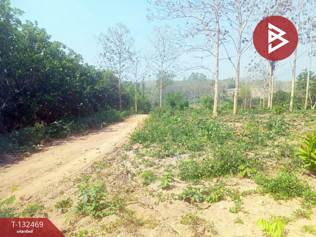 ขายที่ดิน เนื้อที่ 4 ไร่ ท่าปลา อุตรดิตถ์ 5