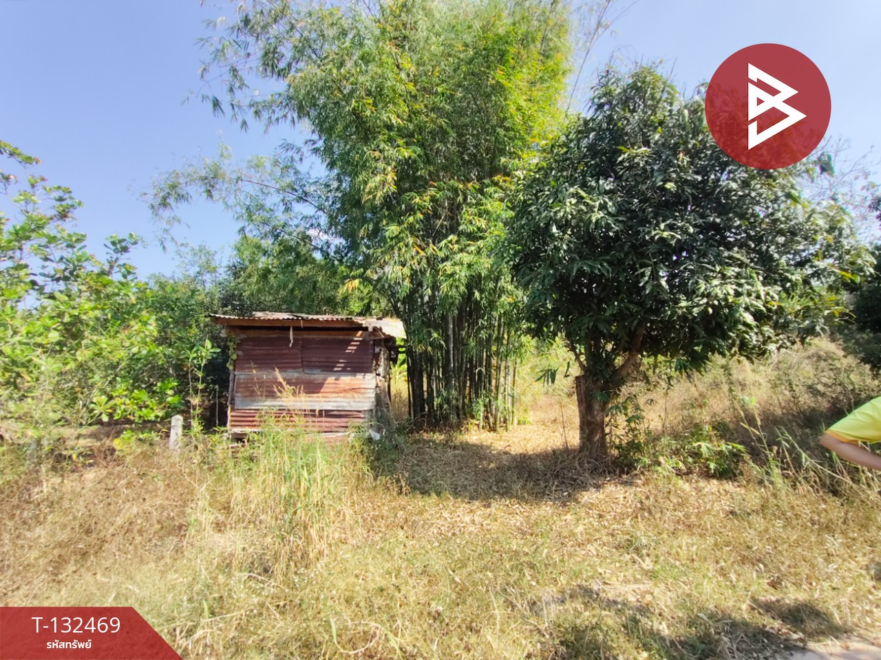 ขายที่ดิน เนื้อที่ 4 ไร่ ท่าปลา อุตรดิตถ์ 6