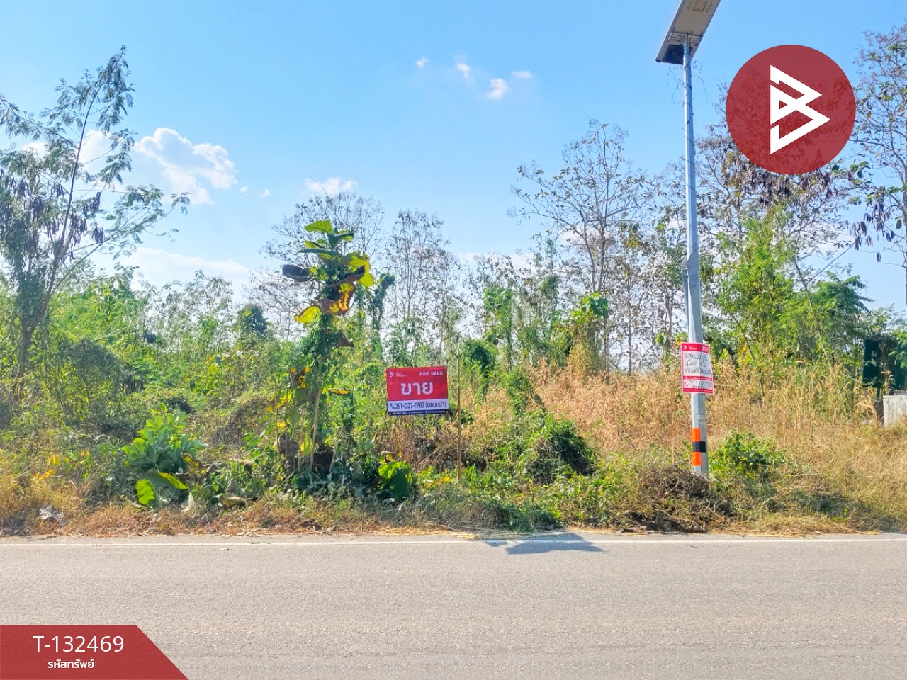 ขายที่ดิน เนื้อที่ 4 ไร่ ท่าปลา อุตรดิตถ์ 8